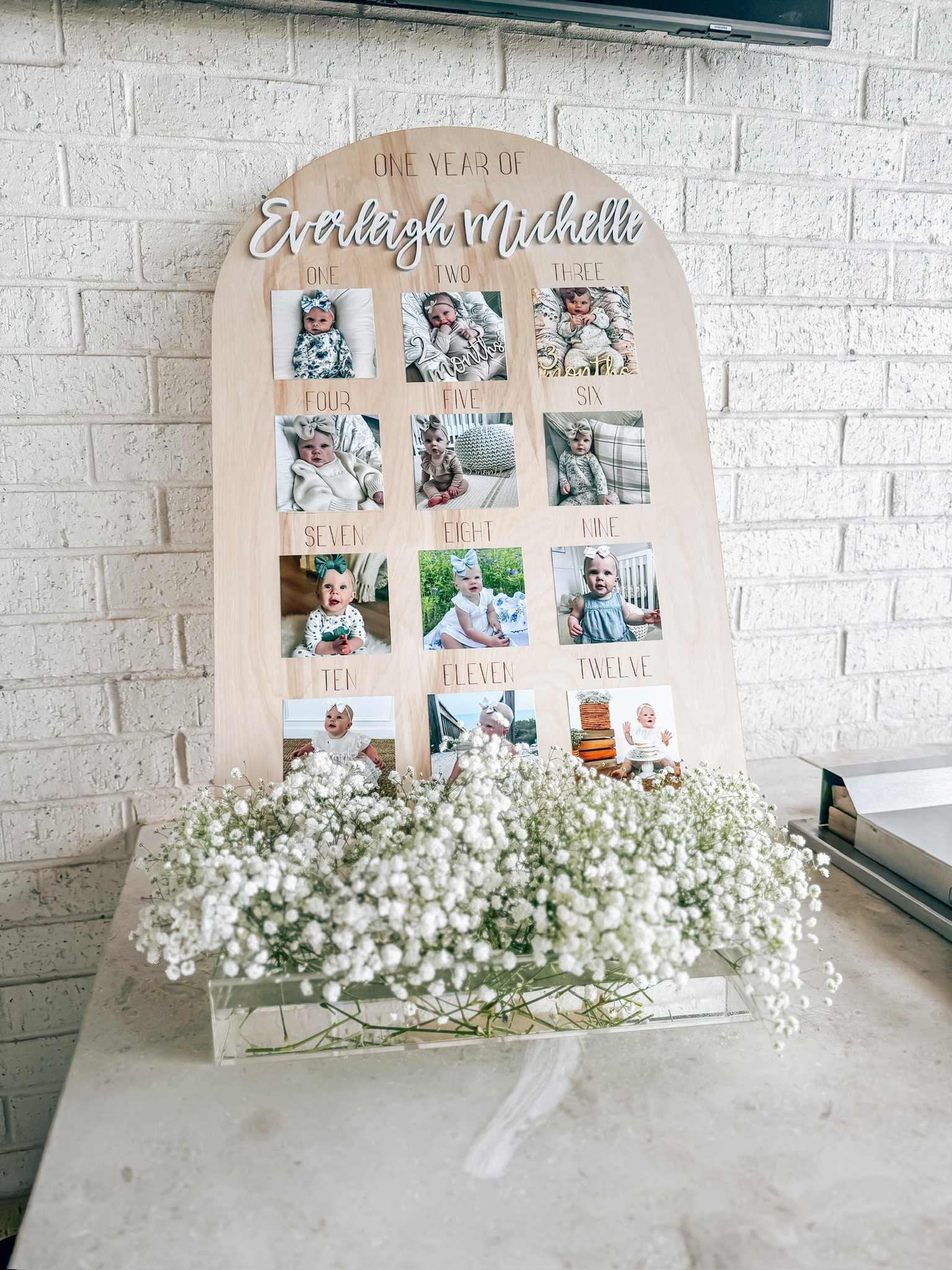 One Year of Everleigh Michelle photo board